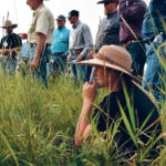 Julia Palmer of Scott Palmer Ranching says her operation is able to extract a premium from the marketplace because of the certified grass-fed designation the ranch has obtained from A Greener World. | File photo