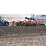 Neonicotinoid insecticides are used on tens of millions of acres of cropland in Canada. | File photo