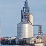 Rail cars line the sidings adjacent to the Viterra grain terminal near Sexsmith, Alta. The cars could be sitting there awhile because of a strike by Canadian National Railway workers. | Randy Vanderveen photo