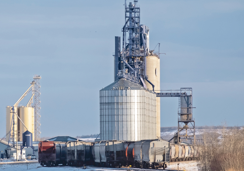 Rail cars line the sidings adjacent to the Viterra grain terminal near Sexsmith, Alta. The cars could be sitting there awhile because of a strike by Canadian National Railway workers.  |  Randy Vanderveen photo