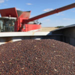 Trade access to countries like Peru, Vietnam and China have been threatened by concerns over weed seeds in crop shipments, even though small amounts of dockage are an ever-present element of the global grain trade.
| File photo