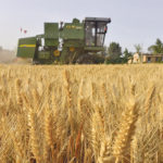 U.S. Wheat Associates says China’s recently established minimum price support for the 2020 wheat crop suggests the country does not intend to reduce the price subsidies it provides to its farmers. | Reuters photo