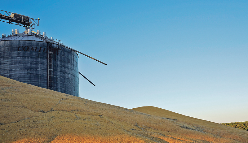 Brazil exported 34.7 million tonnes of corn in the first 10 months of 2019, compared to 36.2 million tonnes from the United States.  | REUTERS/Nacho Dace photo