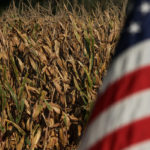 The USMCA is critical for American farmers because Canada and Mexico are huge markets for a number of U.S. agricultural products, including corn, pork and beef. | File photo