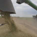 Canada's 2019/20 lentil crop was pegged at 2.17 million tonnes in the government agency's Dec. 6 report. That was down by about 400,000 tonnes from the September estimate but would be in line with the 2.09 million tonnes grown the previous year. | File photo
