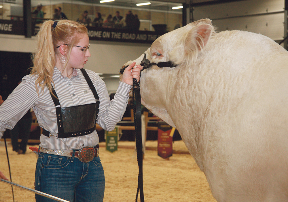 Kailey Wirsta is an active member of K-Cow Ranch, where the family raises Charolais, Polled Herefords and Angus cattle at Elk Point, Alta. Her ambition is to be a full-time rancher.  |  Barbara Duckworth photo