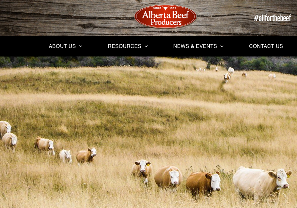 With five years’ experience as a delegate and board member, Kelly Smith-Fraser knows communication with industry members and the public is of prime importance.  | Screencap via albertabeef.org