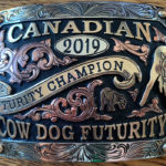 It was a family affair for Peter Gonnet and three of his Border Collies at the Canadian Cow Dog Futurity held during Agribition.
A father, son and daughter — Bob, Gus and Maggie — swept the three events.
| Facebook/Canadian Cow Dog Futurity image