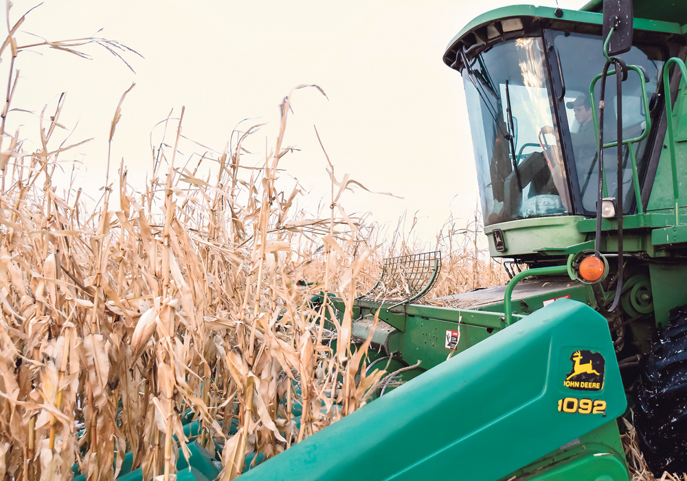 Ty Unrau combines silage corn Dec. 7 on his family’s farm near Boissevain, Man. The family had 400 acres of grain corn yet to harvest last weekend.  |  Glen Dickson photo