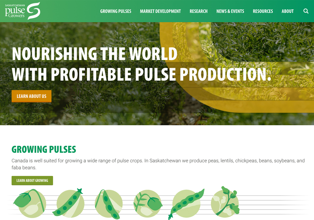 Saskatchewan Pulse Growers is coming under fire for its plans to appoint up to two additional directors to its seven-member board.  | Screencap via saskpulse.com