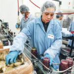 Margie Comaling adds lids to jars of raspberry jam at the Saskatchewan Food Industry Development Centre in Saskatoon. | William DeKay photo