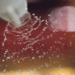 Consumers are becoming increasingly interested in glyphosate use. | File photo