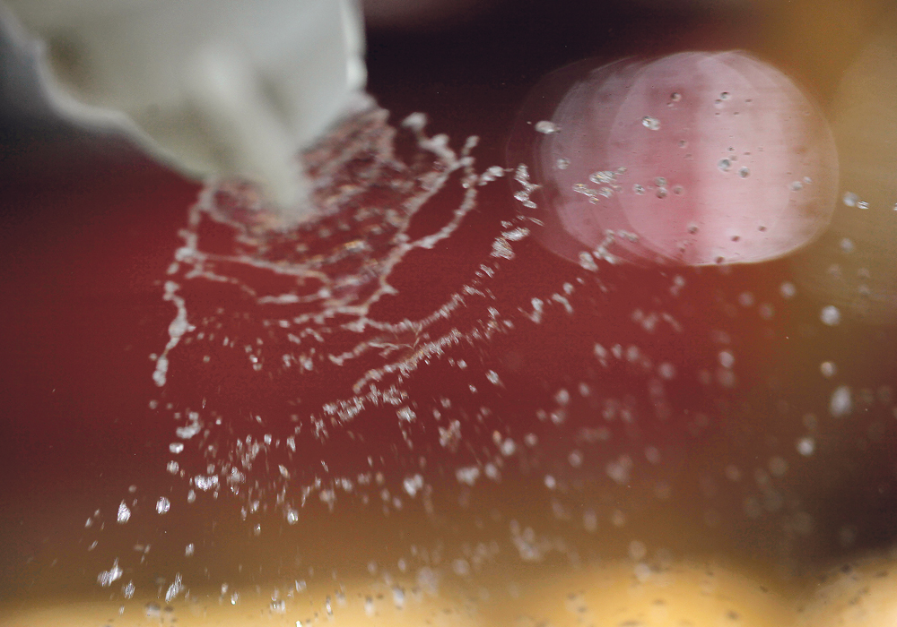 Consumers are becoming increasingly interested in glyphosate use.  |  File photo