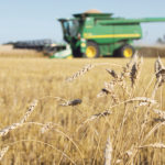 Work aimed at exploring an industry-wide seed organization amalgamation began years ago but has been gaining momentum over the past 12 months. | File photo