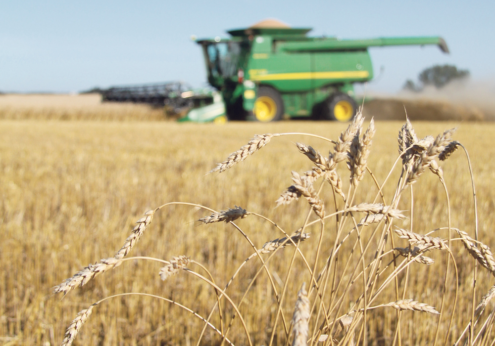 Work aimed at exploring an industry-wide seed organization amalgamation began years ago but has been gaining momentum over the past 12 months.  |  File photo