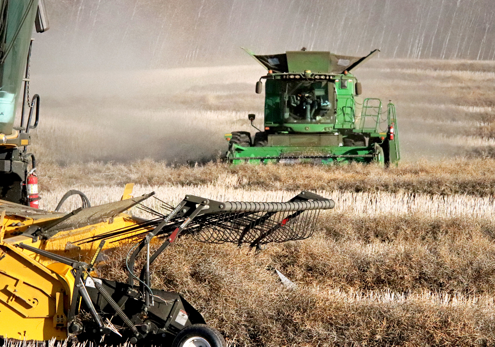 Todd Lewis, APAS president, said producers should be asking more questions if it turns out China is obtaining the Canadian canola it needs by way of other countries.  | File photo