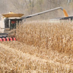 The U.S. Department of Agriculture is expected to start adjusting its corn crop estimate with its next World Agricultural Supply and Demand Estimates report on Jan. 10. | REUTERS/Bryan Woolston photo