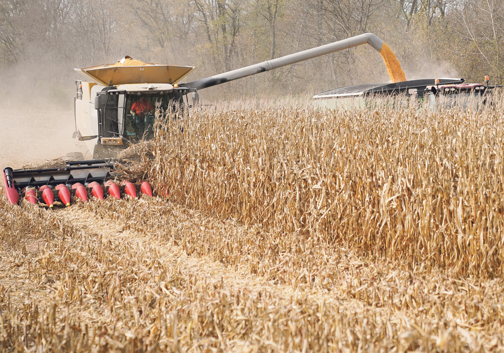The U.S. Department of Agriculture is expected to start adjusting its corn crop estimate with its next World Agricultural Supply and Demand Estimates report on Jan. 10.  | REUTERS/Bryan Woolston photo