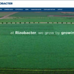 With its new partner, Brett-Young Seeds, from southern Manitoba, the Argentine-based Rizobacter will begin offering its legume inoculants and related products across the region, including the American Northern Plains states. | Screencap via rizobacter.com