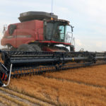 Spot demand from Turkey and expectations for increased demand going forward accounted for the higher bids, according to Kevin Silzer, vice president with Rayglen Commodities in Saskatoon, Sask. | File photo