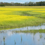 FCC Chief Agricultural Economist J.P. Gervais noted that Canada has been warming at twice the rate as the rest of the world, which already has brought changes to the country's growing season. That includes warmer weather generating more rain during planting and harvest periods along with greater potential for floods and droughts. | File photo
