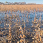 Manitoba’s new water management strategy is described as part carrot and part stick. | File photo