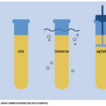 The falling number test is an internationally standardized method for determining the amount of sprout damage in wheat caused by the enzyme alpha-amylase. Alpha-amylase breaks down wheat starch in the kernel into sugars so that the germinating kernel has an energy source. Sound grain has minimal enzyme levels. However, in sprout-damaged wheat enzyme levels rise dramatically in response to hormones triggered by germination. Activity can rise from 10 units to over 50,000 units depending on the stage or severity of the sprout damage. The test uses seven grams of ground wheat (adjusted for moisture) mixed with 25 millilitres of water to form a slurry in a test tube. Once mixed, the test tube is immersed in boiling water and the slurry is agitated for 60 seconds using a plunger system. At 60 seconds, the plunger is drawn to the surface and released.