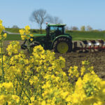 Winter rapeseed, a popular crop in Europe, is particularly sensitive to temperatures at certain times of year, which is reflected in annual yields that can vary by as much as 30 percent. | REUTERS photo