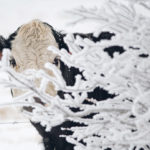 A new report found that Alberta’s beef industry generates $18 billion in total economic activity and employs 57,000 people, but impediments loom on the horizon. | Mike Sturk photo