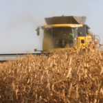 Green peas are currently trading around C$12 per bushel, while yellow peas remain in the C$6.50 to C$7 per bushel area. | File photo