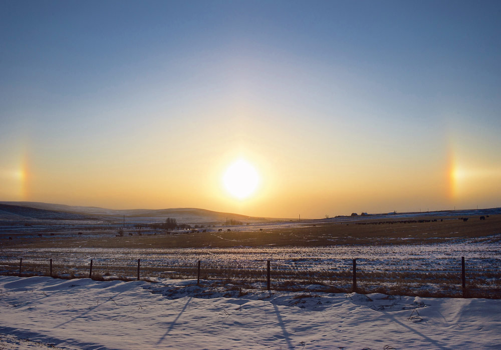 The data on which the website is based produced a few surprises, including indications that both the number of hot spells and the number of cold spells are projected to increase.  |  Mike Sturk photo