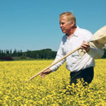Alberta insect management specialist Scott Meers, seen in this file photo from the summer of 2013, says wheat midge has caused significant damage to crops in central Alberta in recent years. | File photo