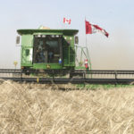 Total planted wheat area is forecast to rise to 25.77 million acres, from 25.02 million the previous year. Production is forecast at 33.90 million tonnes, which would be up by about 1.5 million tonnes on the year. | File photo