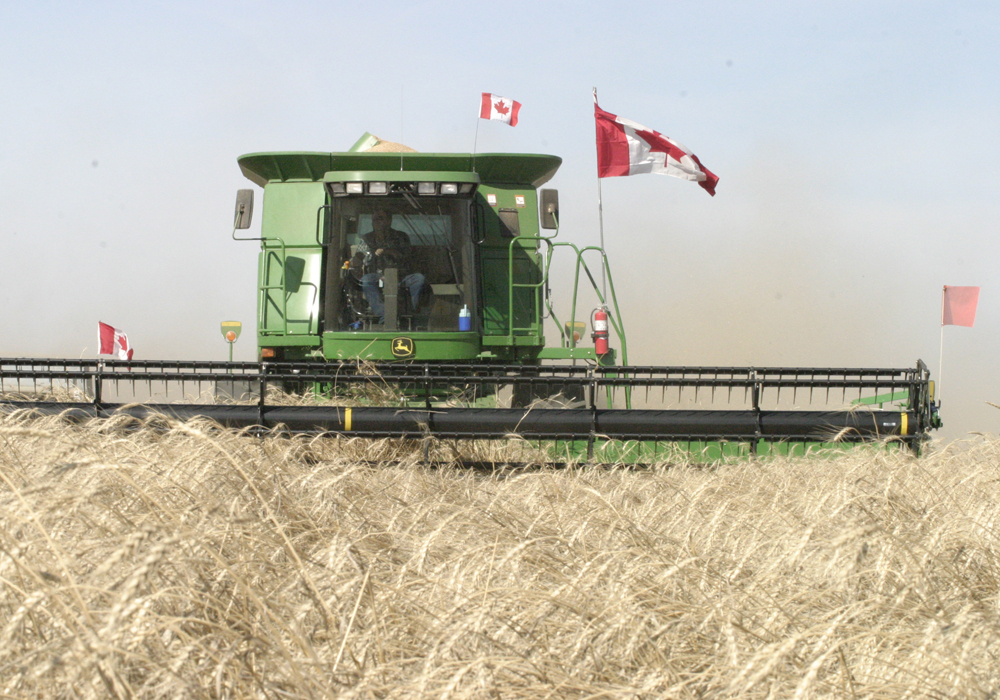 Total planted wheat area is forecast to rise to 25.77 million acres, from 25.02 million the previous year. Production is forecast at 33.90 million tonnes, which would be up by about 1.5 million tonnes on the year. | File photo
