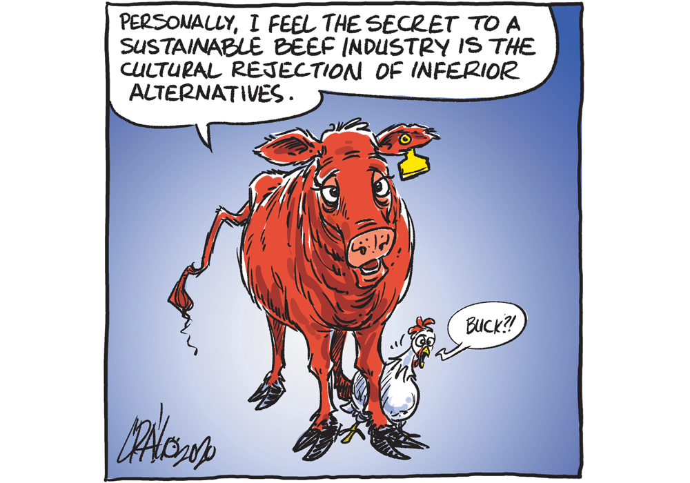 Beef industry’s challenges require co-ordinated effort