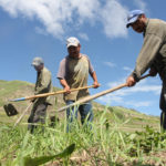 Businesses that require temporary foreign workers say Service Canada could reduce the paperwork and time in the application process. | File photo