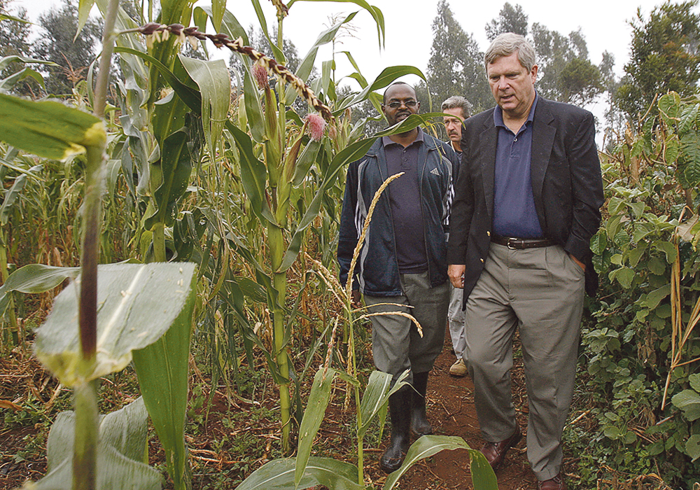 A project in Kenya is using scientists’ understanding of plant-to-plant interactions to develop a way to manipulate the flow of information to control a pest in corn fields.  |  REUTERS/Thomas Mukoya photo