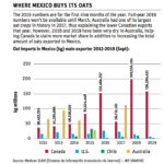 Market development work pays off for oats in Mexico