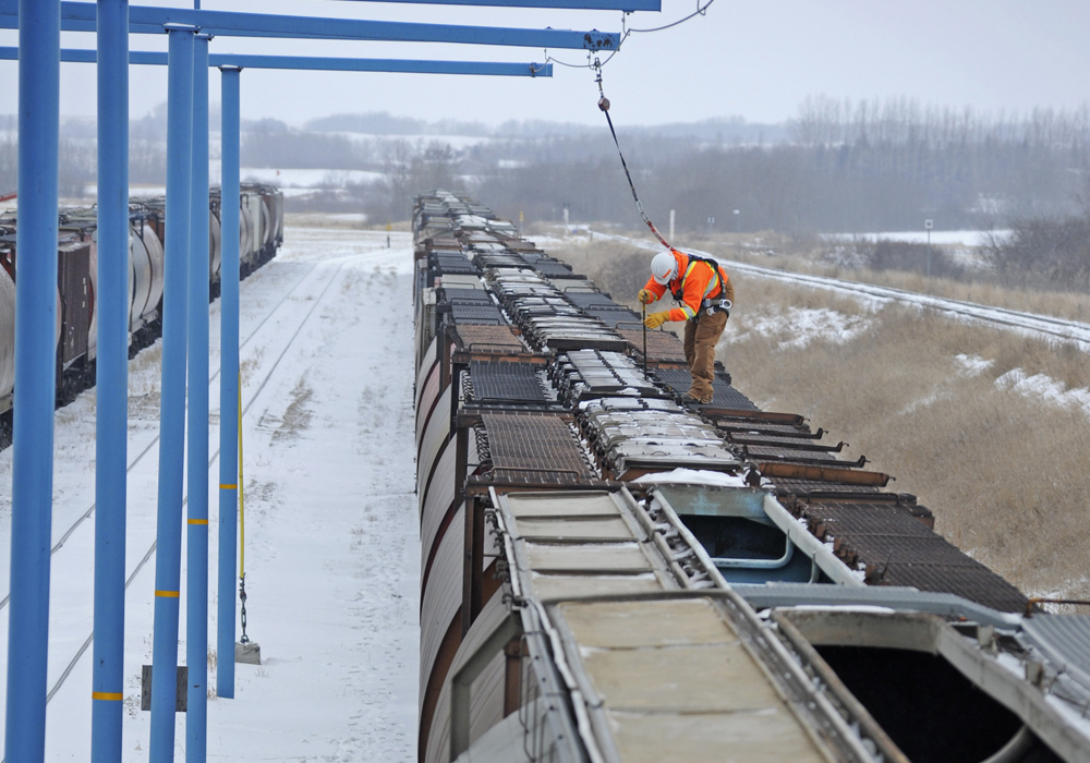 Total 2019/20 (Aug/Jul) exports of Canada's grain, oilseed and pulse crops as of the end of December came in at 17.6 million tonnes. That compares with the 20.7 million tonnes moved during the same five-month period the previous year. | File photo
