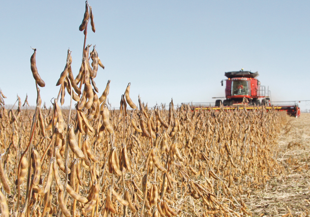 Soybean exports to China have plummeted to 2.5 percent of normal since Canada arrested a Chinese business executive in 2018.  |  File photo