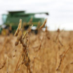 With the Brazilian soybean harvest well underway, a few recent projections have far exceeded the estimated 117.0 million tonnes produced in 2019/20. | File photo