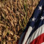 The United States Department of Agriculture holds its Agriculture Outlook Forum on Feb. 20-21. The agency's first acreage and supply/demand estimates for the upcoming 2020-21 crop year will be released at the forum, and traders will be following the numbers closely. | File photo