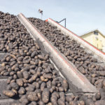 The provincial government is expected to highlight its reduction in red tape and low corporate tax rate as incentives for investing in agriculture. | File photo