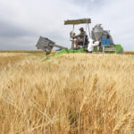 Canadian agriculture has the diversity to speak to consumers no matter their backgrounds and help them answer the question, “where does my food come from?” | File photo