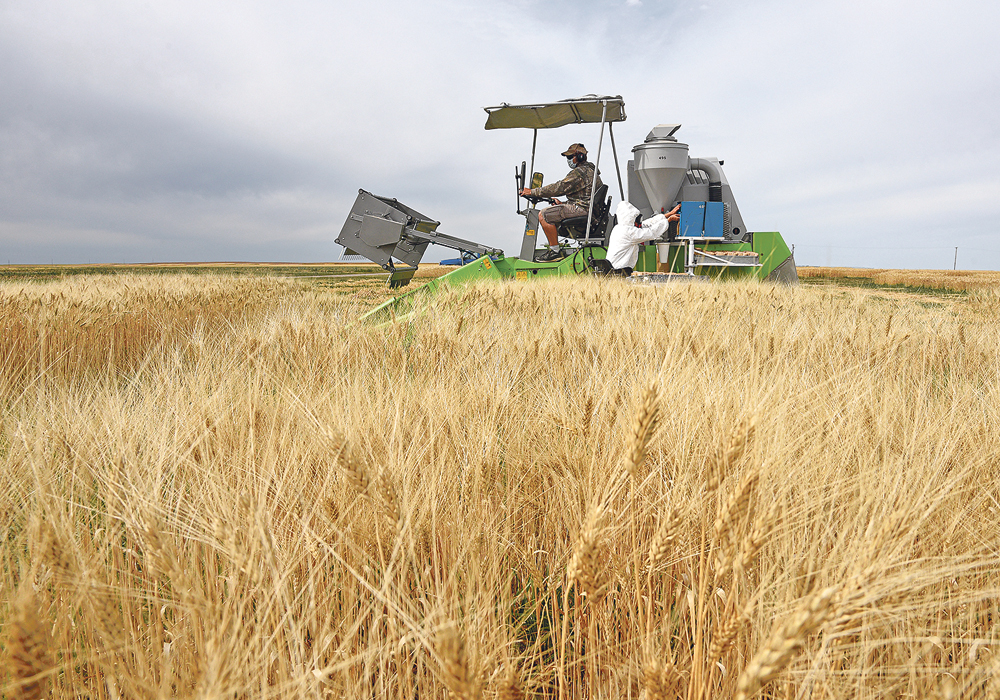Canadian agriculture has the diversity to speak to consumers no matter their backgrounds and help them answer the question, “where does my food come from?”  |  File photo