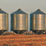 Managing tough, stored grain is a production issue, but these crops will also need special marketing attention. | File photo