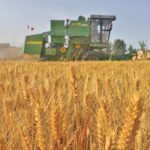 An expected increase in Chinese wheat imports is complicated by the fact that China bought an enormous amount of wheat from its growers last year to support prices, which means it might not need to import much more. | Reuters photo