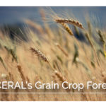 In the report, released Feb. 20, Coceral pegged total grain production for the European Union and the United Kingdom in 2020 at 302.7 million tonnes, which would be down from the 2019 level of 308.9 million tonnes. | Screencap via Twitter/@COCERAL_EU