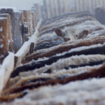Aside from a few slight increases in 2012, 2013 and 2018, Canadian cattle inventories have moved lower since 2005. | File photo