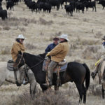 The public was once in love with the cowboy image, but modern consumers now question how that image correlates with safe food production and environmental protection, those attending a session at the National Cattlemen’s Beef Association convention recently heard. | File photo
